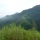 Hiking up Assam’s highest point- Hapeo peak