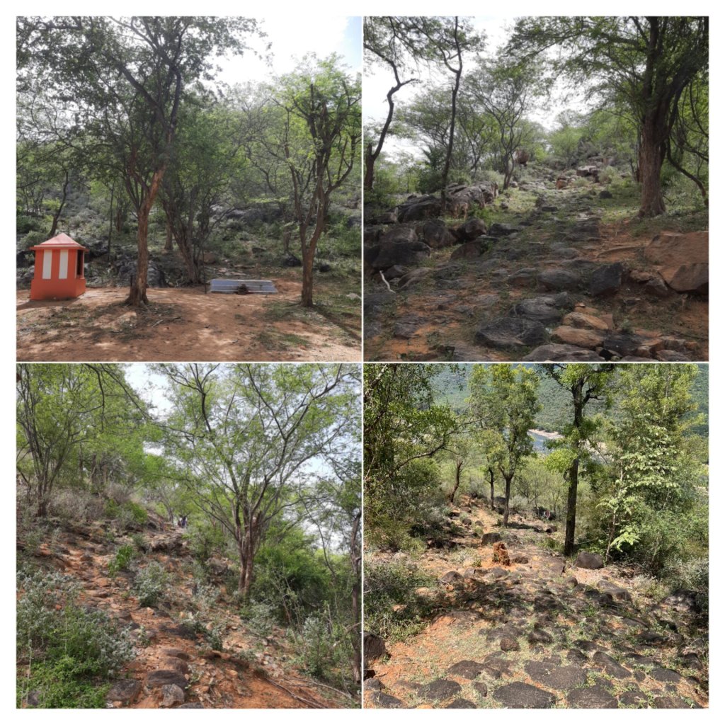 The trail to Biligundlu Ranganatha swamy temple